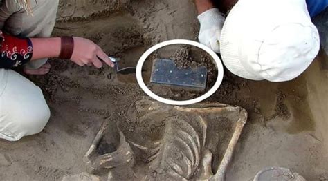 Skelet koňa nájdený v archeologickom hrobe