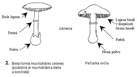 Rozdiel medzi dlhou a krátkou adresou pohľadnice