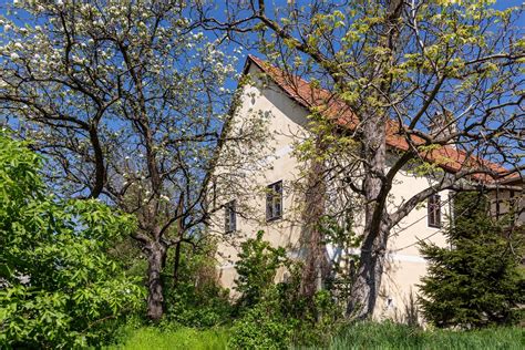 panoramatický záber Schaubmarovho mlyna s okolitým sadom