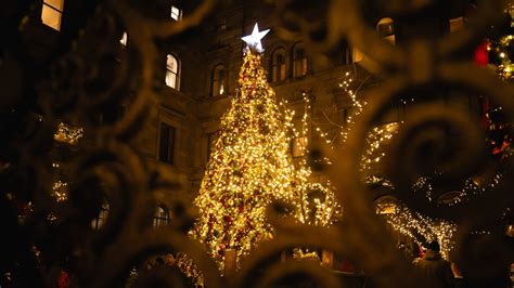 Tematická fotografia: mladé dievča sníva o Vianociach, sneh, vianočný stromček