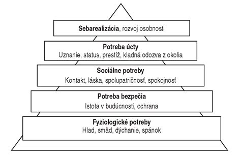 Schéma tvorby a rozdelenia sociálneho fondu v rámci podnikovej sociálnej politiky