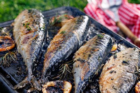 kolekcia rôznych zdravých rybích jedál: pečená, grilovaná, varená na pare