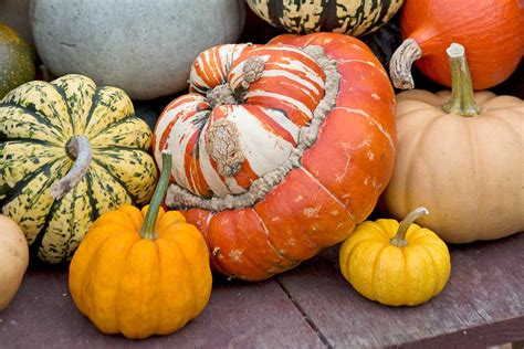 Halloweenske tekvice rôznych veľkostí a tvarov