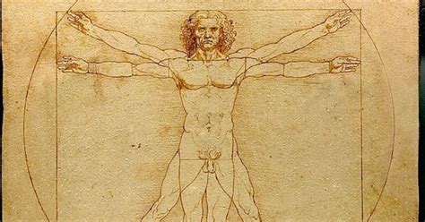 Schéma Vitruviánskeho muža znázorňujúca ideálne proporcie ľudského tela