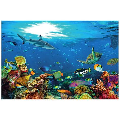 Podvodný svet v akváriu