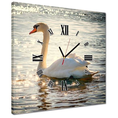 Labuť plávajúca na jazere