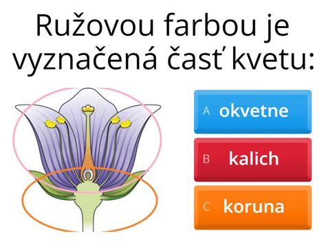 Detail ručne vyrobeného papierového kvetu s farebnými lupienkami a zelenou stonkou.
