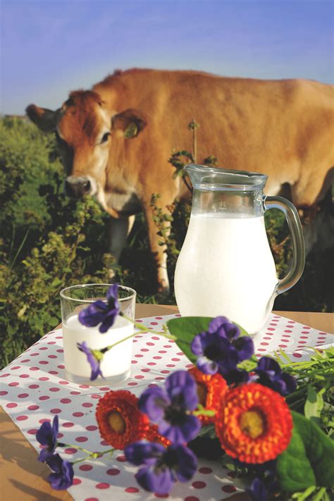 Čerstvo nadojené mlieko a domáce maslo v maselnici