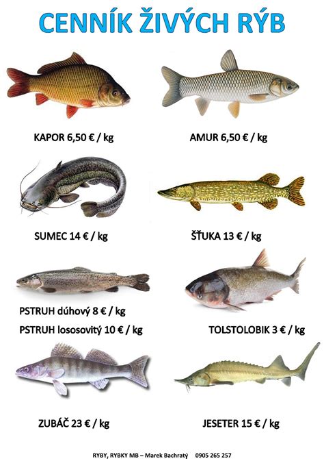 Infografika: Kľúčové legislatívne požiadavky pre predaj živých rýb