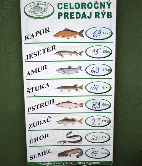Ilustračné foto: Rôzne sladkovodné ryby ponúkané na predaj (kapor, amur, sumec)