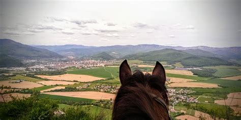 Tematické foto: človek jazdiaci na koni v prírode