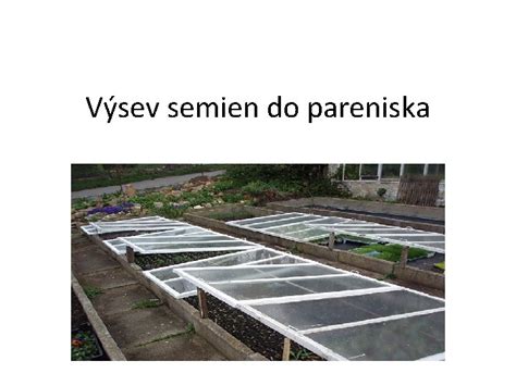 Ilustrácia výsevu semien do hriadkov
