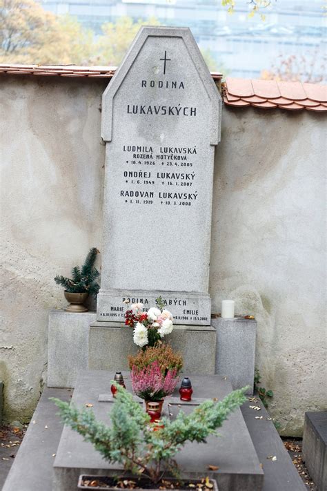 portrét Radovana Lukavského