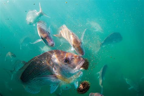 Fotografia interiéru kina s premietaným filmom