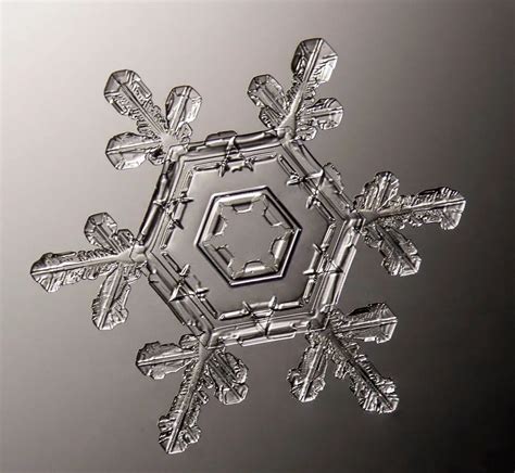 detail snehovej vločky pod mikroskopom