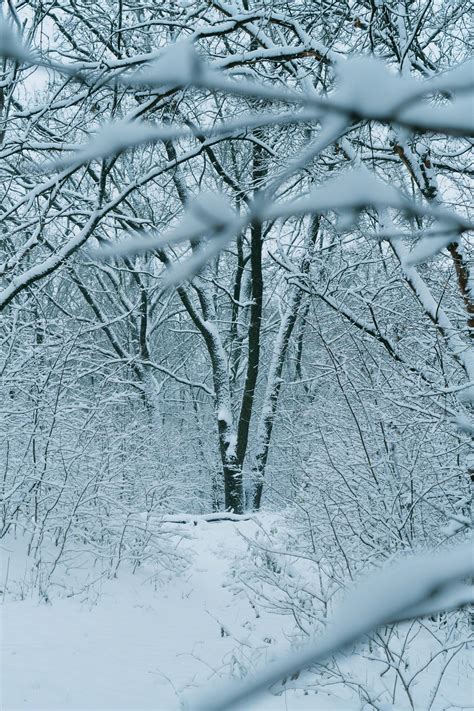 zimná krajina ako pozadie na mobilný telefón