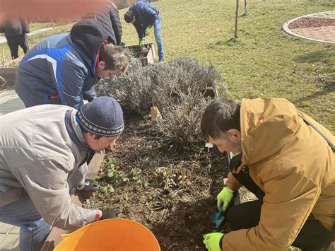 Zamestnanci pracujúci v komunitnej firemnej záhradke