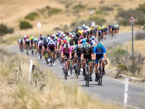 Ilustrácia z cyklistickej stratégie Peloton