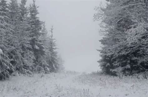 Pohľad na zasneženú zimnú krajinu v GIF animácii