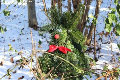 Ilustračná fotografia trblietavého vianočného soba