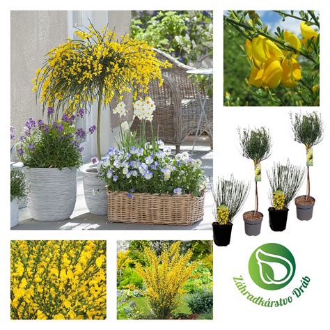 Hravo zdobený darček s množstvom drobných detailov, nálepiek a roľničiek