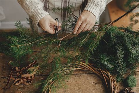Ilustračná fotografia rôznych druhov ihličnatých vetvičiek vhodných na výrobu adventného venca.