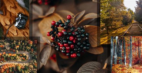 Farebná fotografická koláž s fotkami oslávenca a hostí.