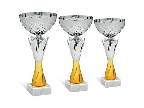Športové trofeje žiakov Obchodnej akadémie