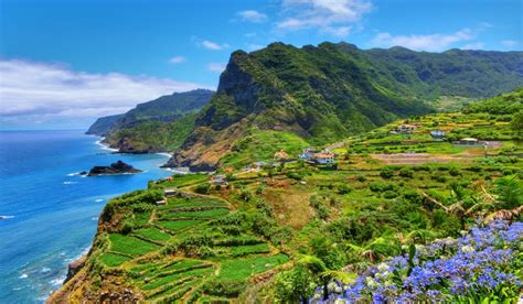 Opis obrázku pre dizajnéra: Fotografie z ostrova Madeira, zobrazujúce prírodu, domy a atmosféru života tam.