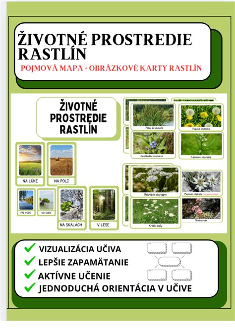 Obrázková mapa častí rastlín s detailmi stonky