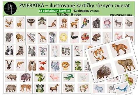 Farebné kartičky s obrázkami rôznych druhov hmyzu