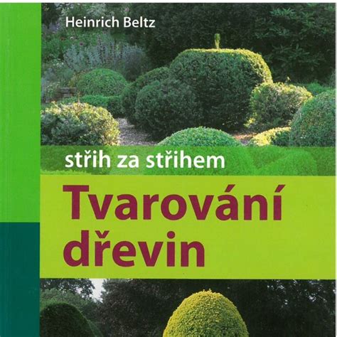 Schéma zloženia stromčeka: základňa, telo a tvarovanie vetiev