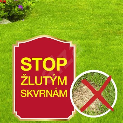 Schéma vhodnej a nevhodnej obuvi pre garden party na trávniku