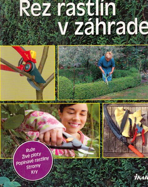 Ilustračná fotografia mulčovacej tkaniny položenej v záhrade okolo rastlín