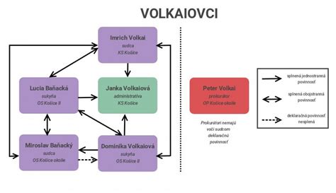 Schéma rodinných väzieb a prepojení v zmiešaných rodinách