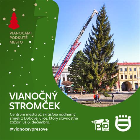 Infografika znázorňujúca proces získania vianočného stromčeka od nákupu v septembri až po decembrové vyzdvihnutie.