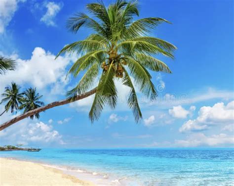 Ilustračná fotografia muža s prekvapeným výrazom tváre pri rozbaľovaní darčeka