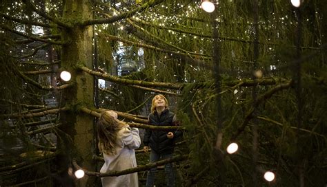 Ilustračná fotografia rodiny pozerajúcej vianočný film pri stromčeku