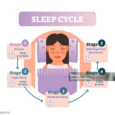 Infografika zobrazujúca cyklus chovu kapra