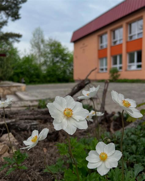 Tematická fotografia: Skupina žiakov pred budovou školy.