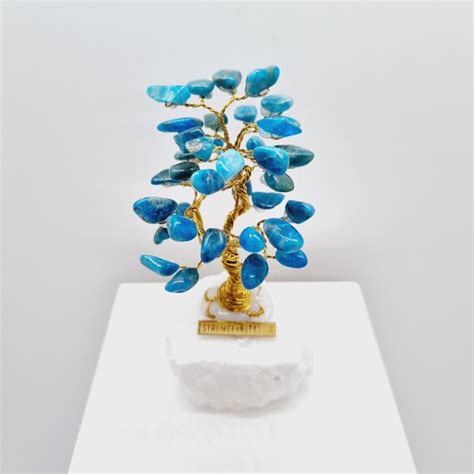 dizajnér: rôzne varianty hotových stromčekov šťastia vyrobených z rôznych minerálov, umiestnené v interiéri