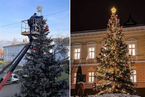 Foto čiastočne poškodeného vianočného stromčeka