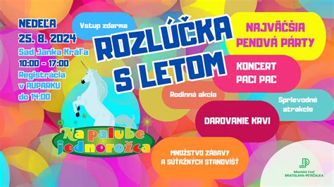 Ilustrácia plánovania oslavy s témou jednorožca