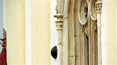 delové gule v múre starej radnice v Bratislave