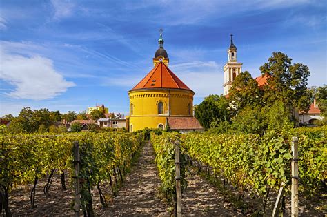 Modra vinohrady a panoráma, svadobná destinácia