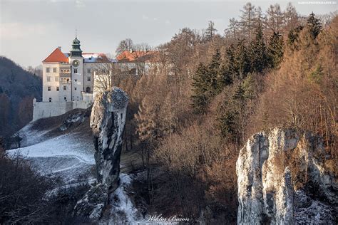 Fotografia pamätníka na Červenej skale dnes, zarastený vegetáciou