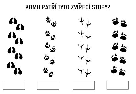 Ukážka malých detailov na dinosaurovej oslave - listy, stopy, tetovania