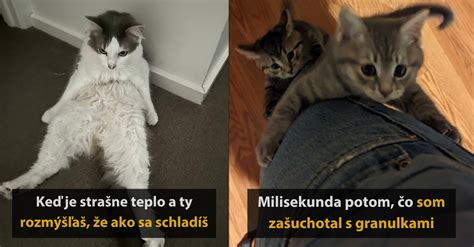 Koláž vtipných obrázkov súvisiacich s vekom 30 rokov