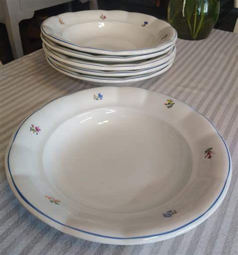 Taniere s rôznymi hlavnými jedlami