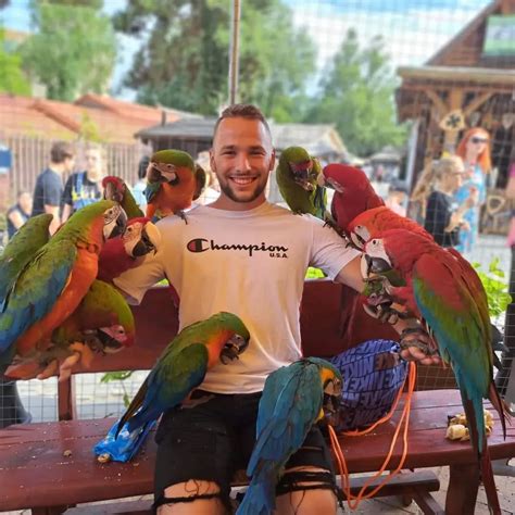 Súhrnná infografika s prehľadom silvestrovských lokalít v Bratislave